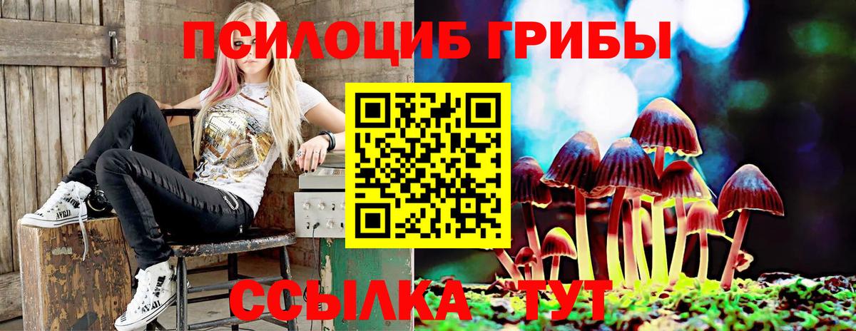 Галлюциногенные грибы MAGIC MUSHROOMS Киреевск