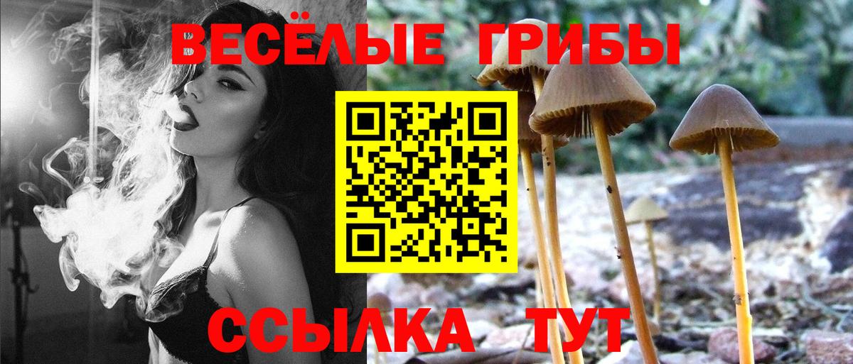 Галлюциногенные грибы MAGIC MUSHROOMS  Галлюциногенные грибы Magic Shrooms  Вход с VPN  Киреевск 