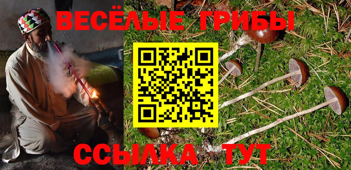 Меф МЯУ МЯУ кристаллы  Вейп ТГК  Киреевск  Вход с VPN  Метадон  МЕТАМФЕТАМИН 